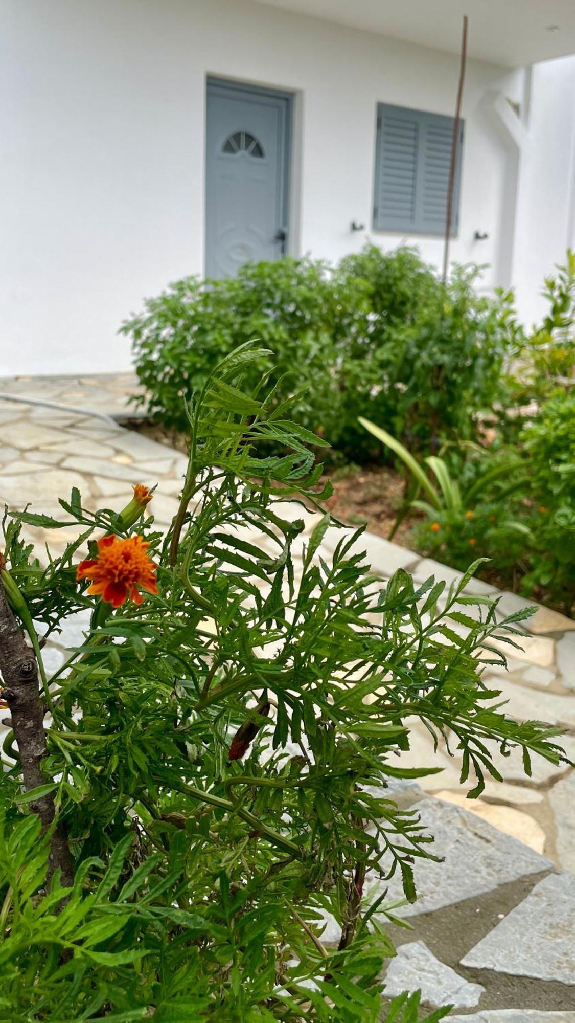 Tasos Rooms ฮีมาเรอ ภายนอก รูปภาพ